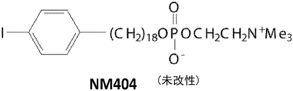 用于原位免疫调节的癌症疫苗接种的放射性卤化剂的制作方法