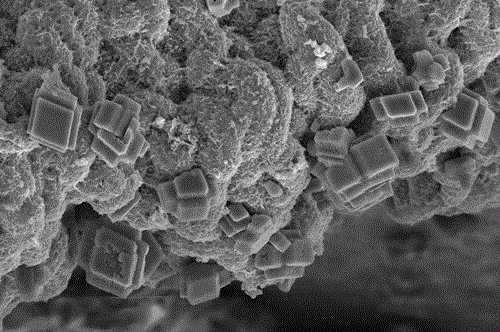 一种微米级氧化钴立方体的制备方法与流程