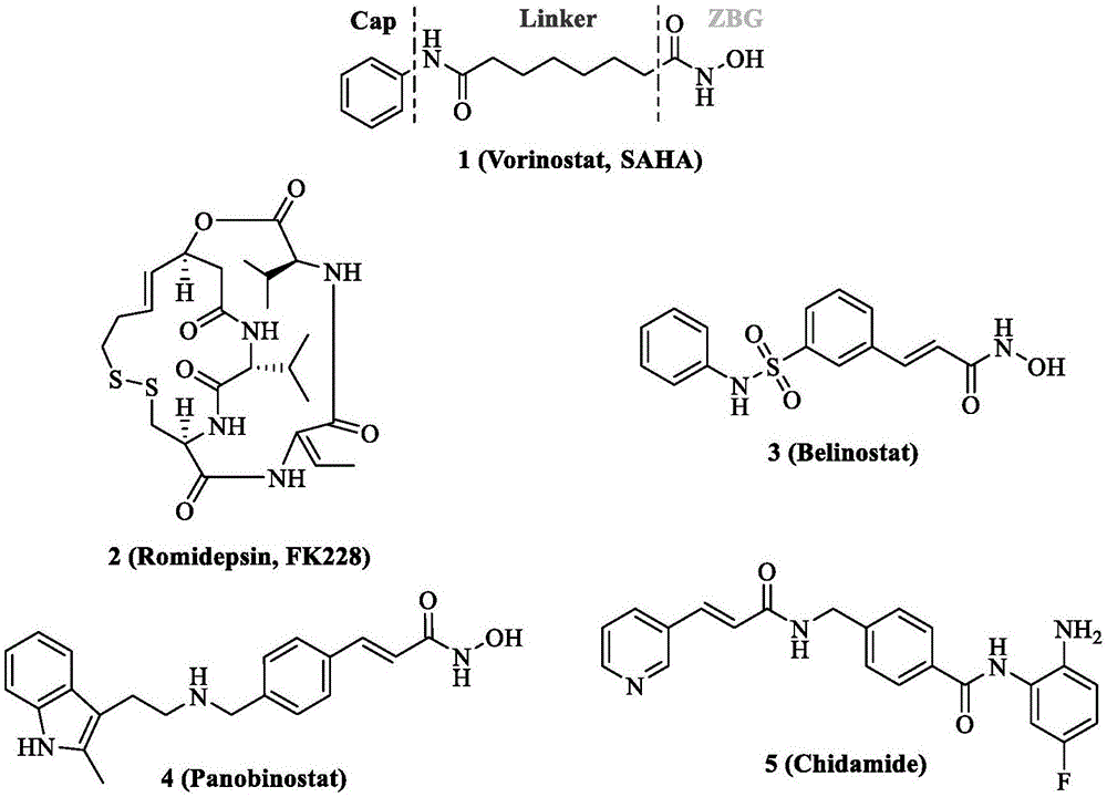 一种组蛋白去乙酰化酶和微管双靶点抑制剂及其制备方法与流程