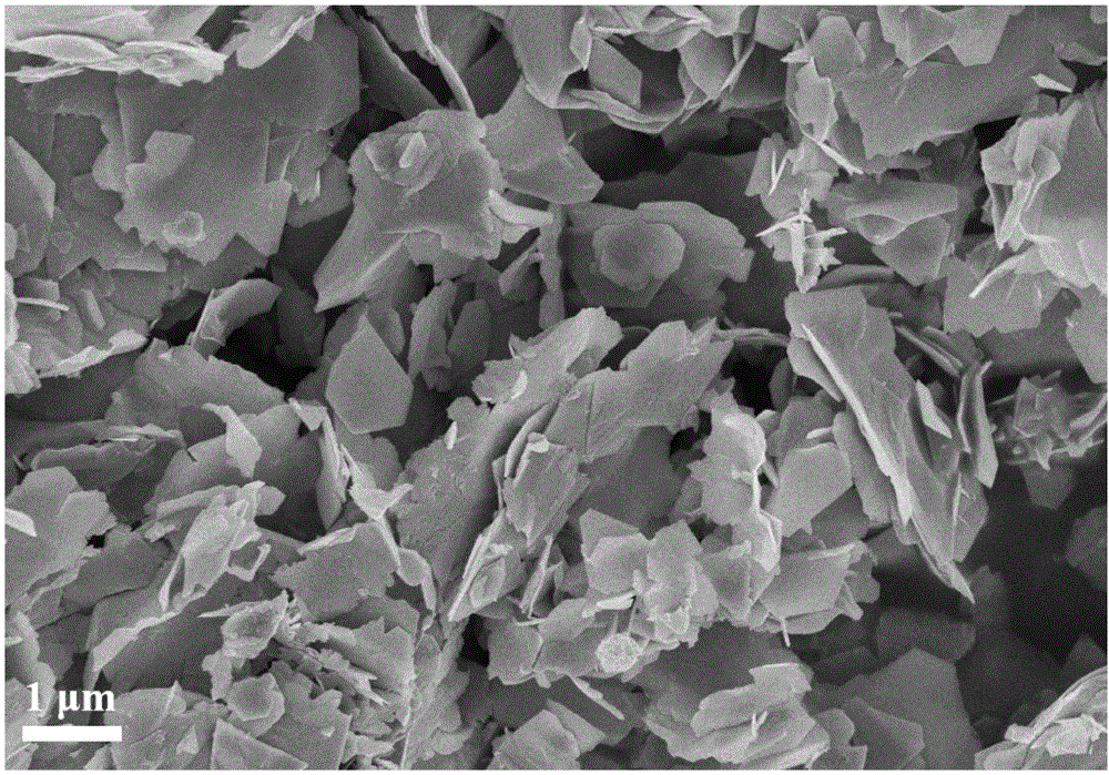 过渡金属硫属化物纳米片层材料及其制备方法、电池负极材料、二次电池及其应用与流程
