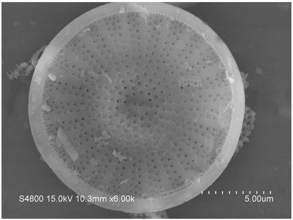 一种具有规则孔状结构氧化锌空心球的制备方法与流程
