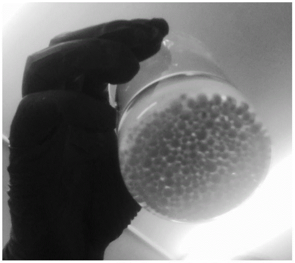 大尺寸自组装二氧化钛微球及其制备方法和应用与流程