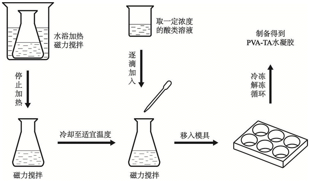 一种高强度-多孔结构聚乙烯醇-单宁酸水凝胶的制备方法及应用与流程