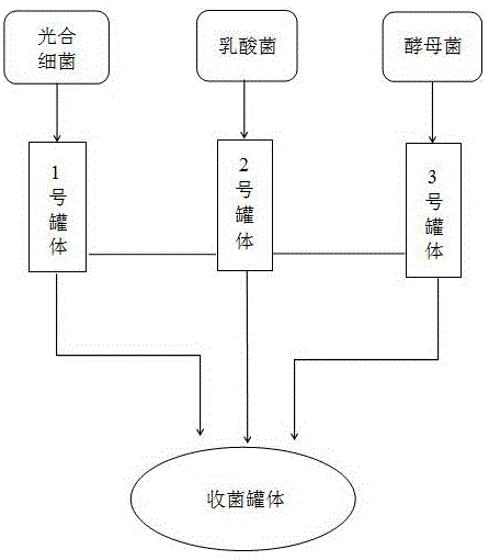 一种复合富锶菌肥及其制备方法与流程