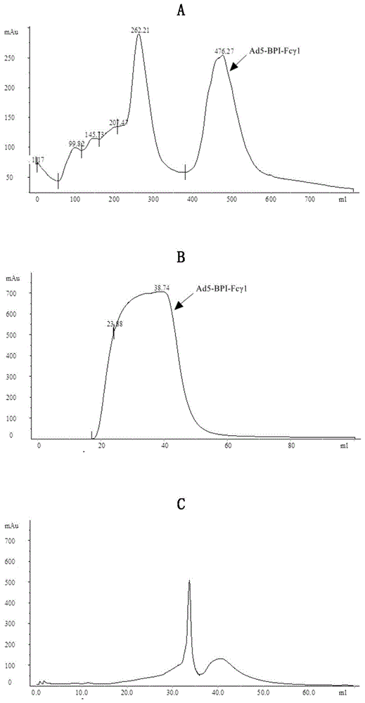 包含BPI-Fc嵌合基因的重组腺病毒及其用途的制作方法