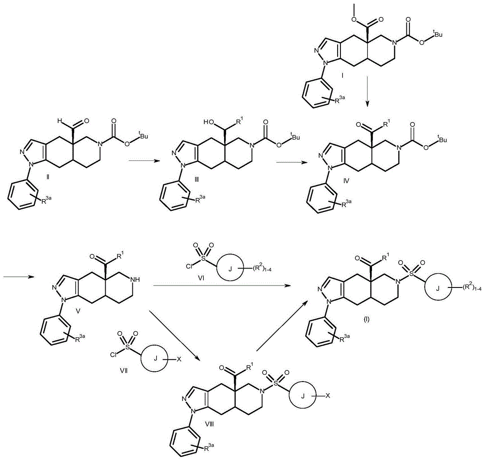 八氢稠合的氮杂萘烷糖皮质激素受体调节剂的制作方法