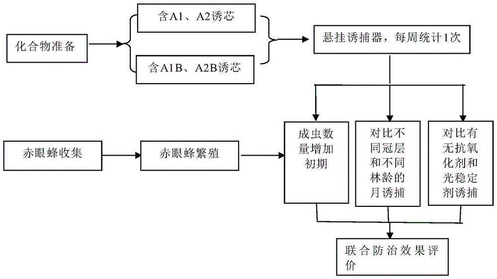 一种利用诱捕与寄生天敌联合防治松梢害虫的方法与流程