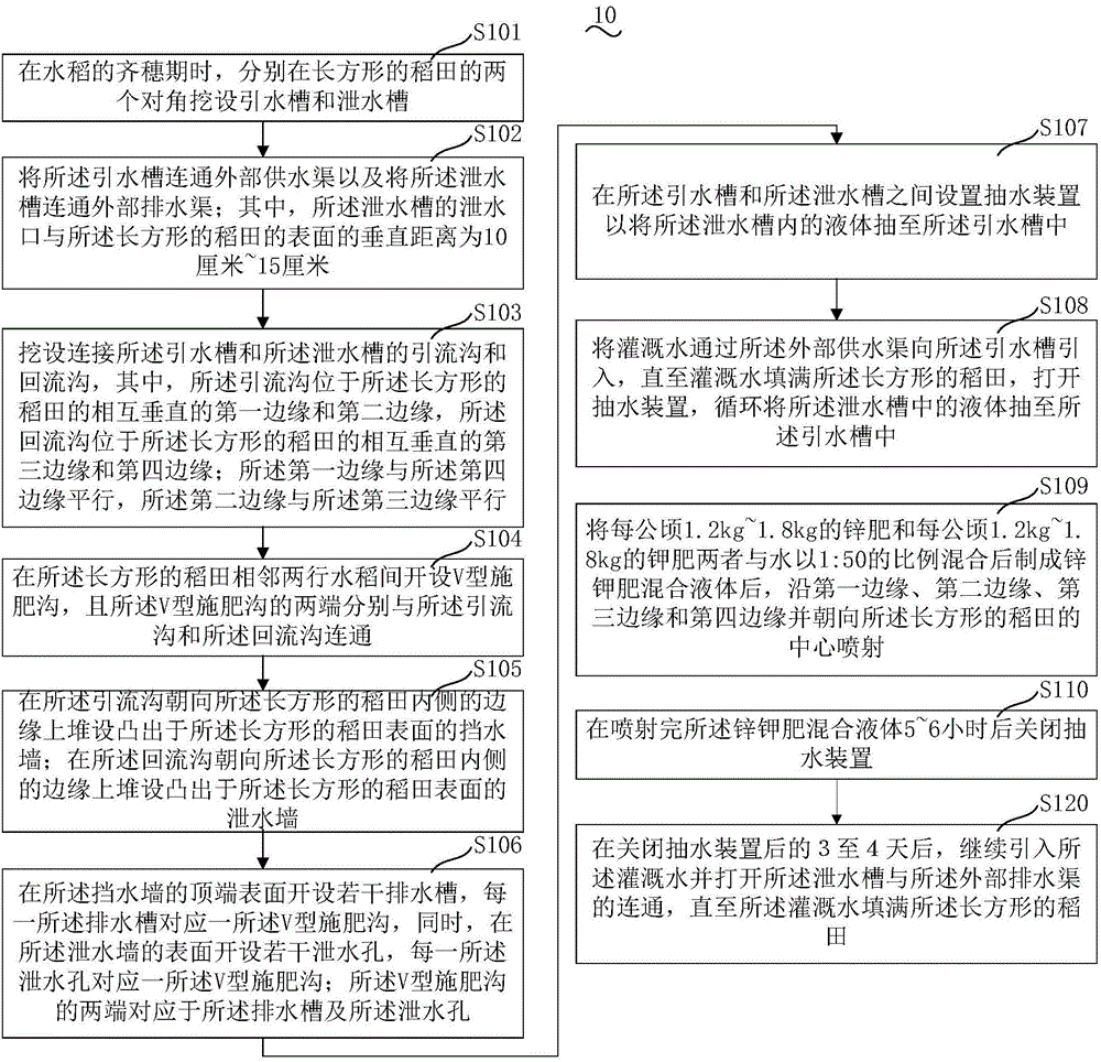 齐穗期水稻的施肥方法与流程