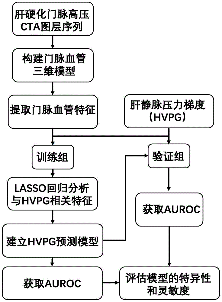 基于门脉血管特征的肝静脉压力梯度测量方法与流程