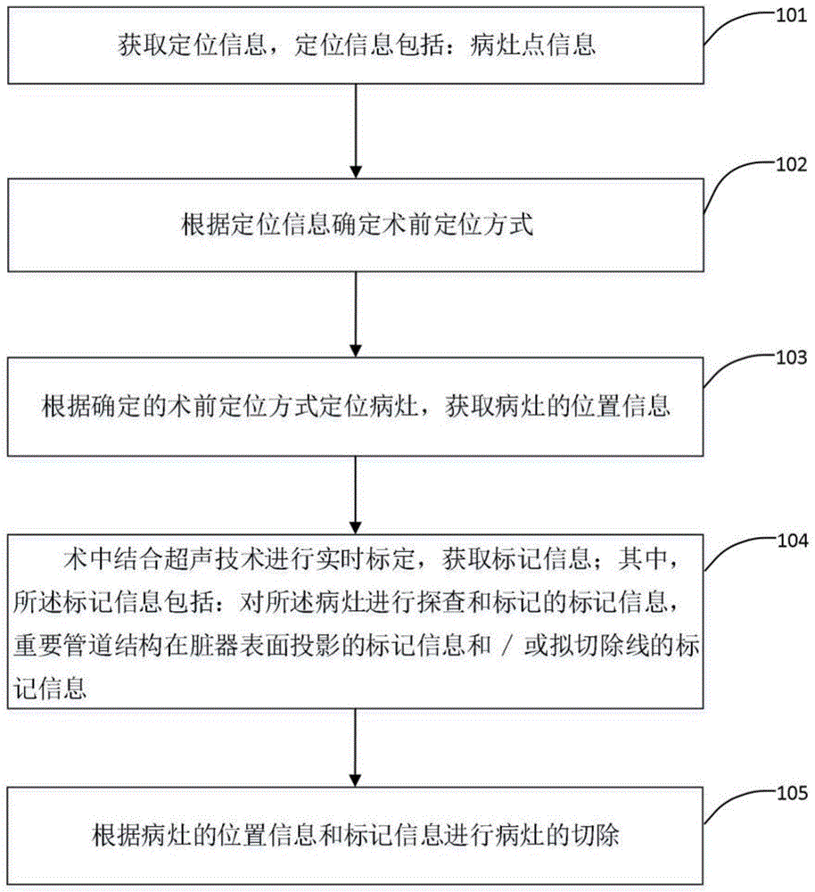 一种电视辅助胸腔镜定位标记标记方法及装置与流程