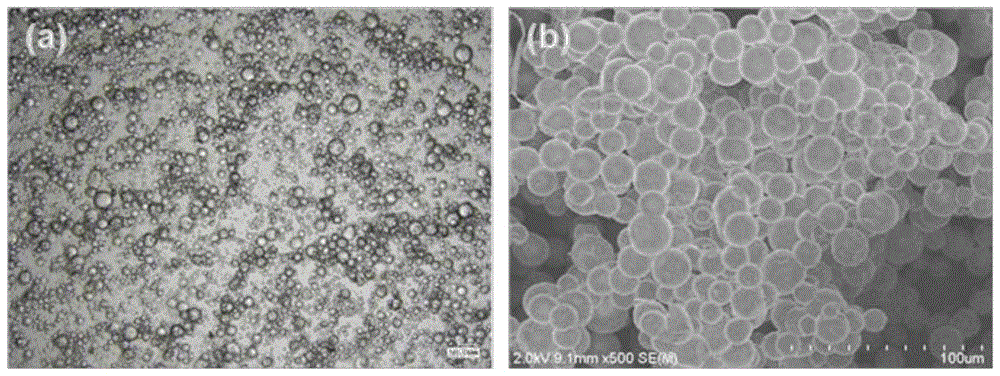 一种无机-有机防晒剂复合微球及其制备方法与流程