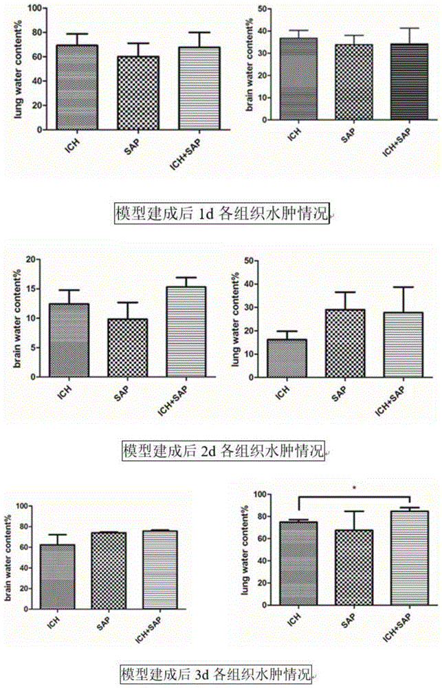 一种脑出血后吸入性肺炎重症相关动物模型的建立方法及其应用与流程