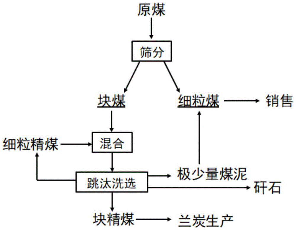 一种块煤入洗的跳汰选煤工艺的制作方法