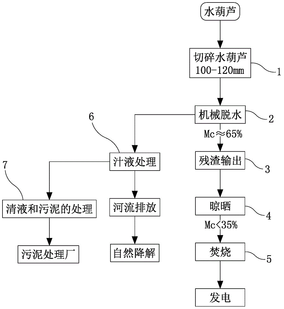 水葫芦的资源化处理工艺的制作方法