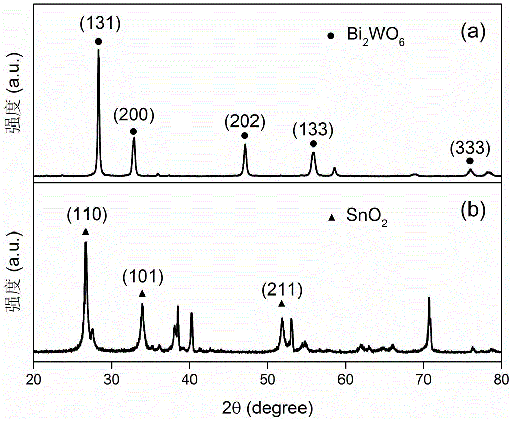一种钨酸铋修饰掺锑二氧化锡复合光电催化电极、制备方法及应用与流程