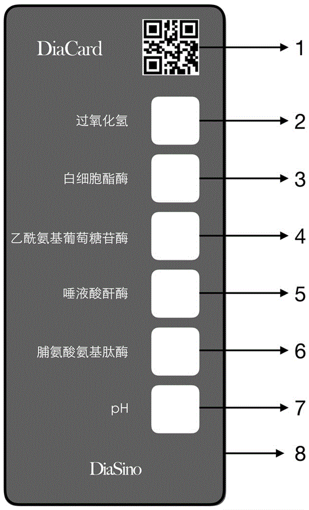 阴道微生态环境智能检测系统及智能分析方法与流程