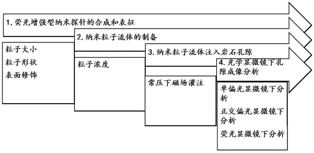 荧光增强型纳米探针及其制备方法以及岩石微纳米孔隙的光学显微镜成像方法与流程