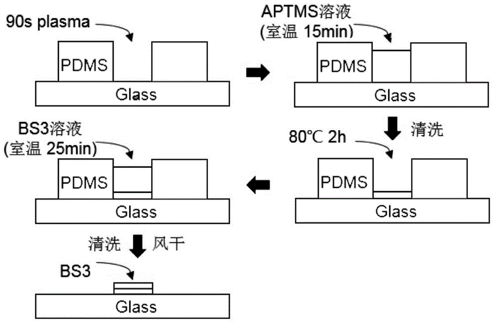 微流控芯片应用蛋白质检测的化学处理方法与流程