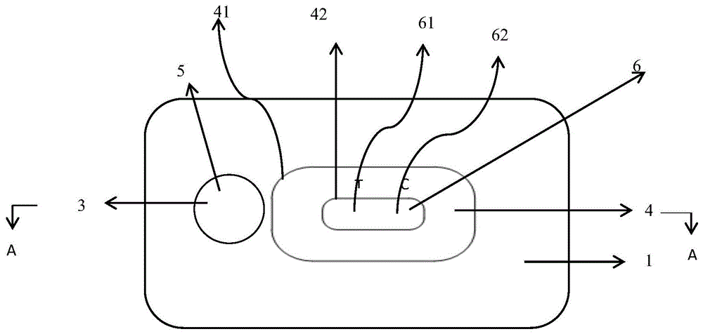 一种用于检测患者样本的免疫诊断装置及其试剂盒的制作方法