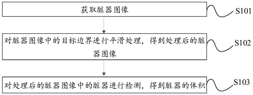 脏器体积检测方法及装置与流程