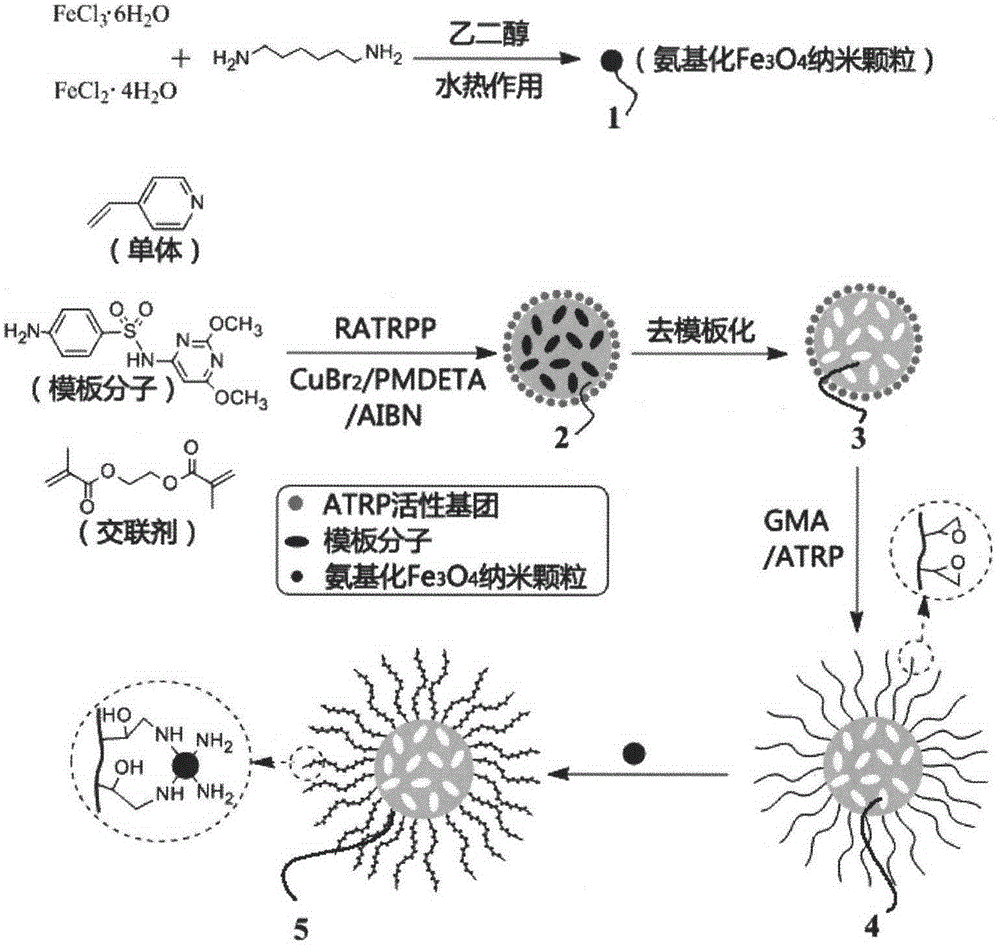 磁性亲水分子印迹复合材料及其制备方法与流程