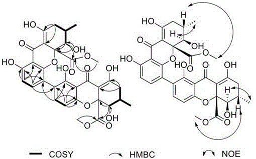 源于草酸青霉的iso-Penicillixanthone A及抗长春新碱耐药应用的制作方法