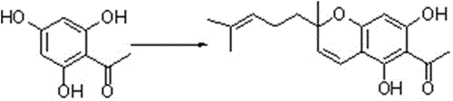 化合物Paulownione C和Tomentodiplacone O的合成方法与流程