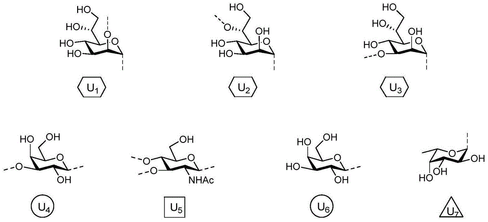 一种幽门螺旋杆菌O：6血清型O-抗原糖链的合成方法与流程