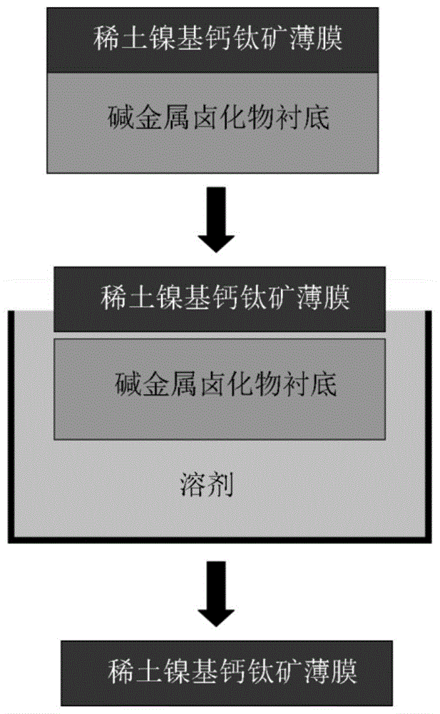 一种自支撑稀土镍基钙钛矿无衬底薄膜的制备方法与流程