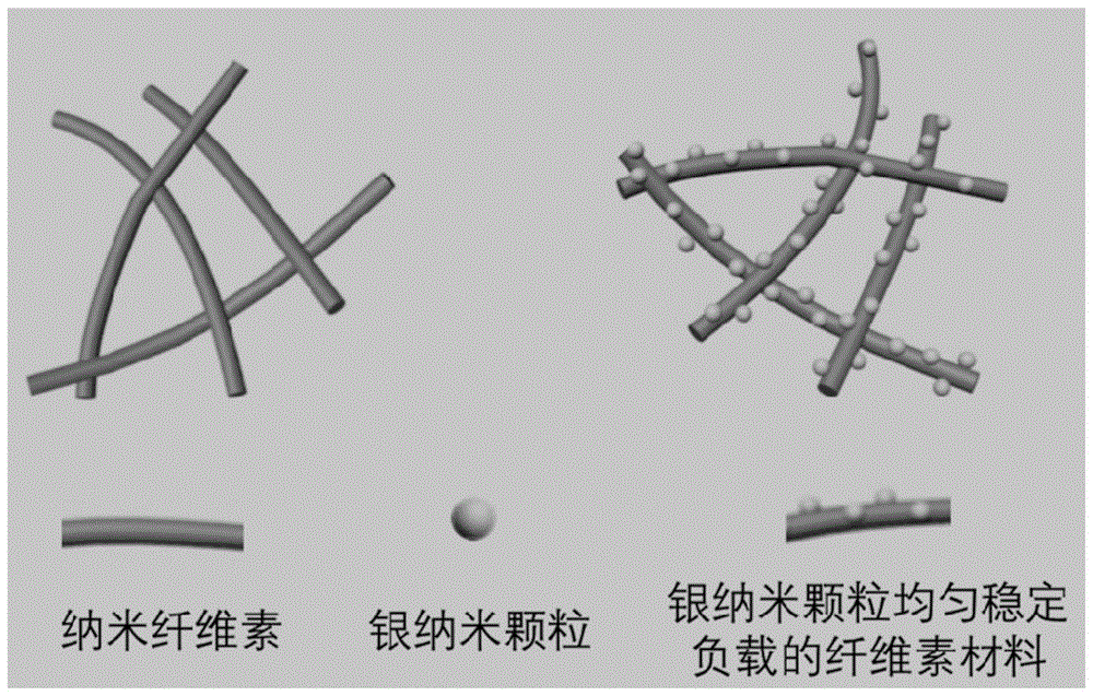 纳米银颗粒均匀稳定负载的纳米纤维素材料及其制法与应用的制作方法