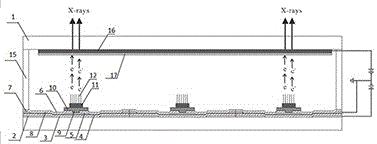 一种TFT驱动的可寻址冷阴极平板X射线源器件及制备方法与流程