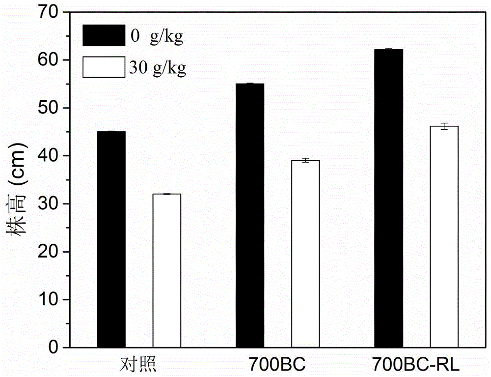 一种鼠李糖脂改性生物炭强化大米草修复石油污染土壤的方法与流程