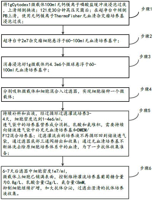 一种杂交瘤细胞过滤灌流培养制备抗体的方法与流程