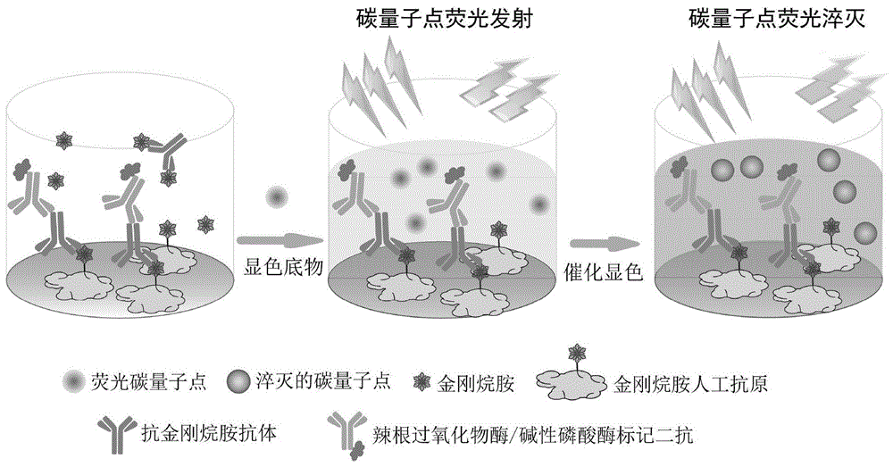 基于碳量子点的荧光免疫分析方法与流程