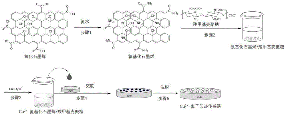 一种用于检测铜离子的生物基离子印迹传感器及其制备方法与流程