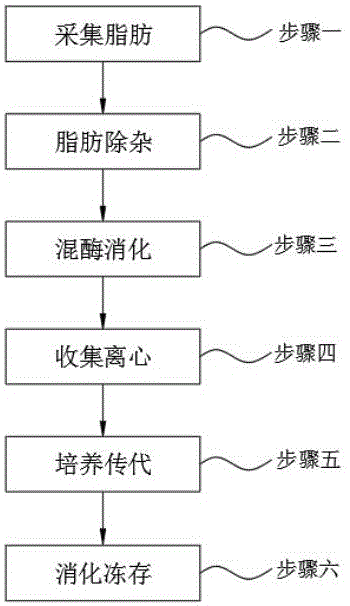 一种人脂肪间充质干细胞的分离培养方法与流程