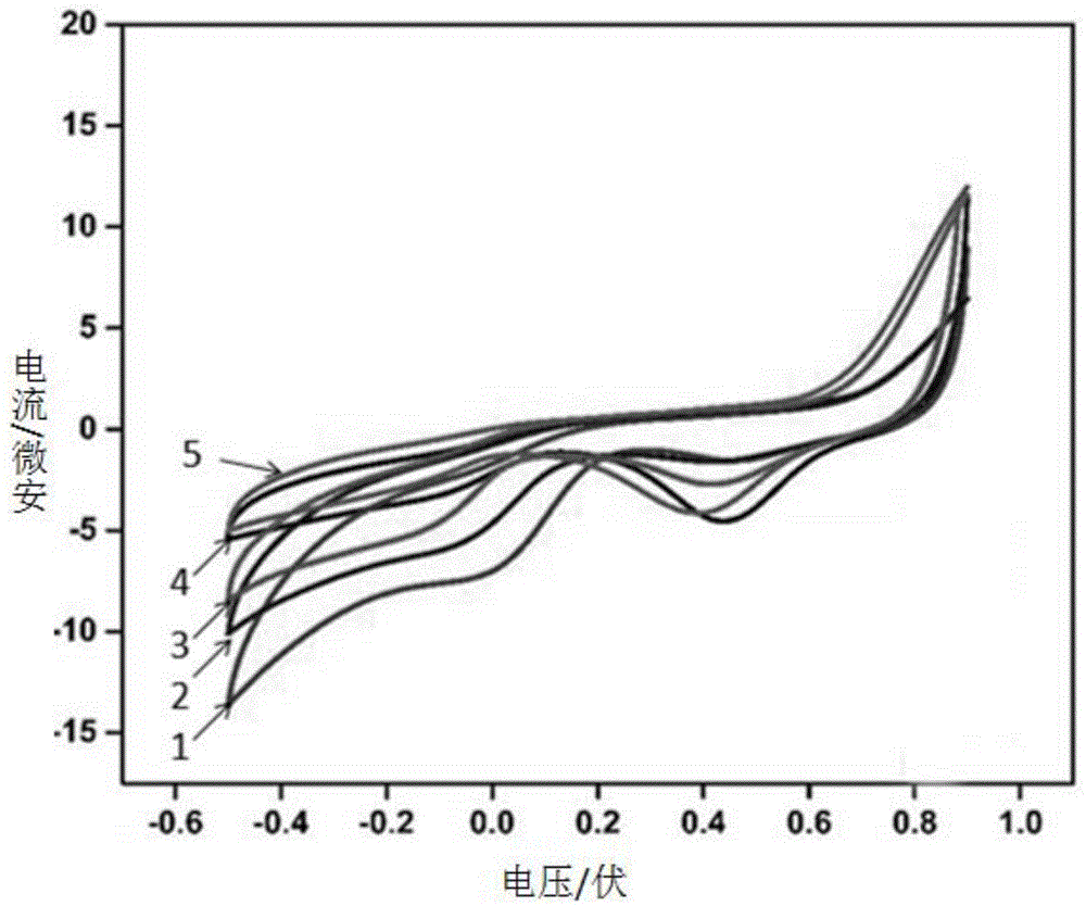 一种基于直接电化学的细菌漆酶传感器及其应用的制作方法