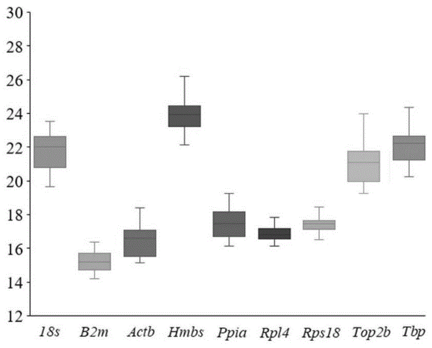 猪不同组织稳定表达的内参基因、其筛选方法及应用与流程