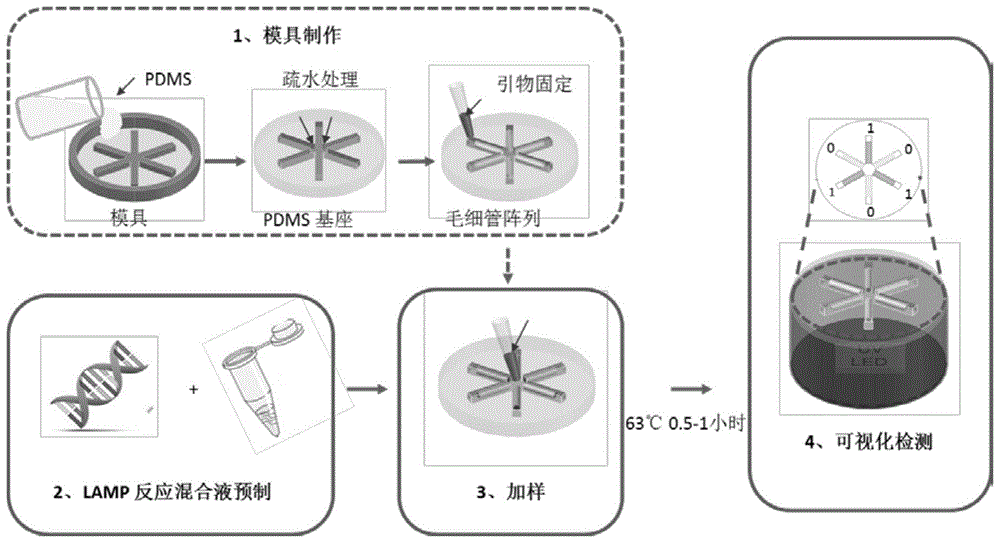 一种基于圆盘状毛细管微阵列的多重核酸检测方法与流程