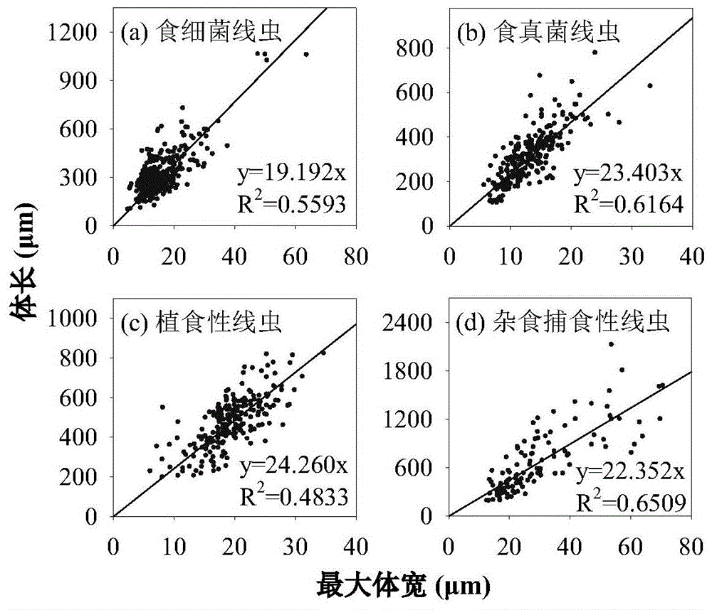 一种估算不同食性土壤线虫生物量的方法与流程