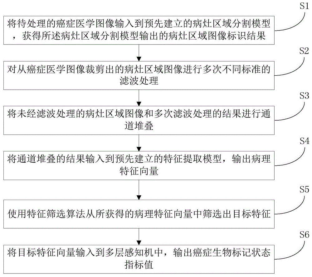 一种癌症医学图像数据处理方法、系统、装置和存储介质与流程