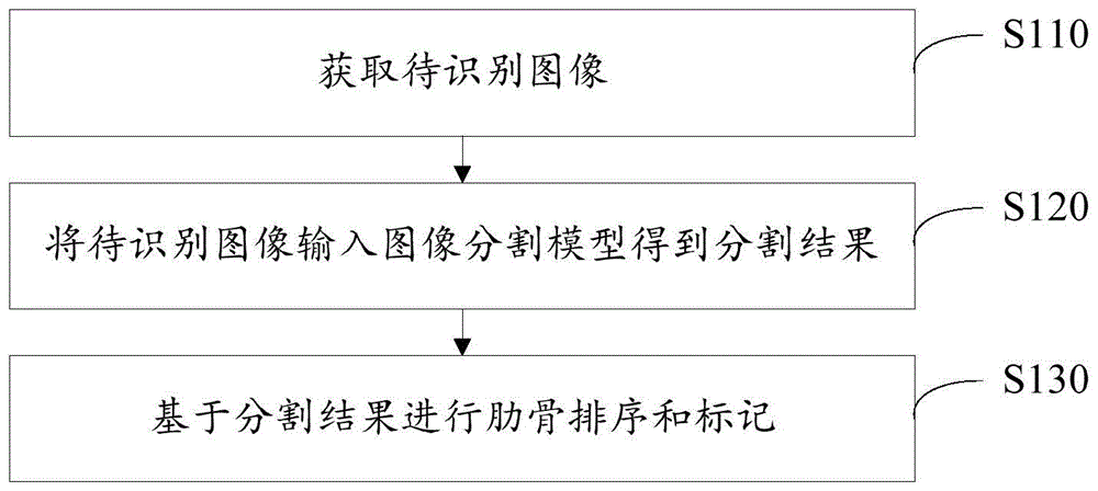 肋骨标记方法、装置、设备以及图像分割模型的训练方法与流程