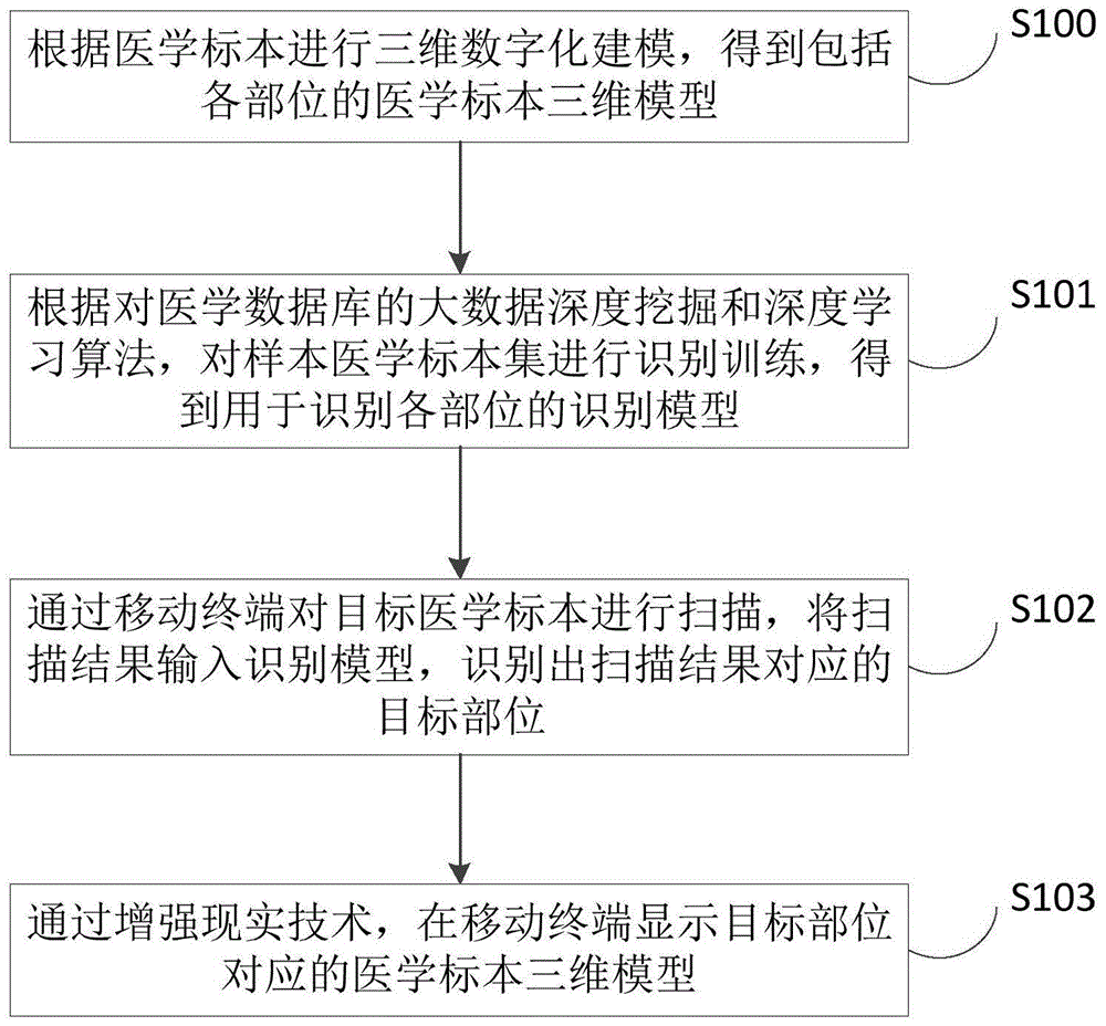 一种医学标本展示方法及装置与流程