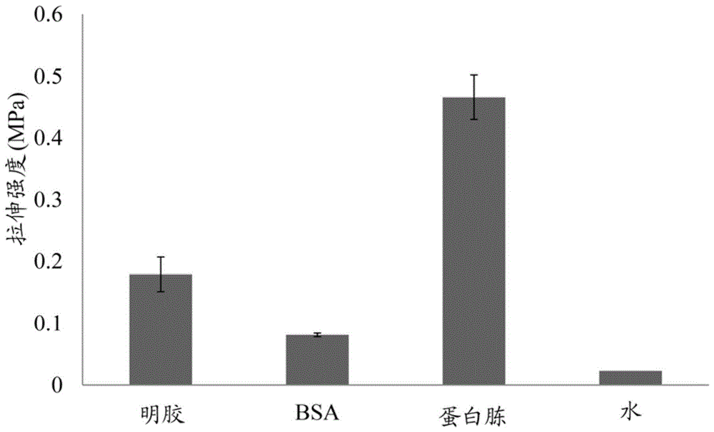 稳定的药物泡沫的制作方法