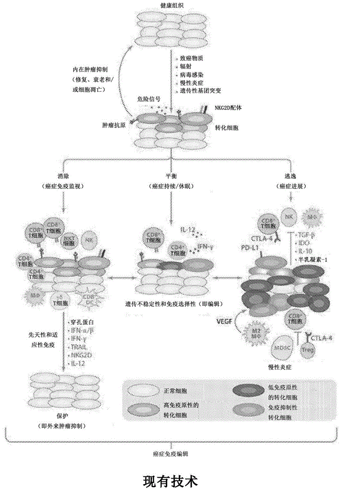 NANT癌症疫苗的制作方法