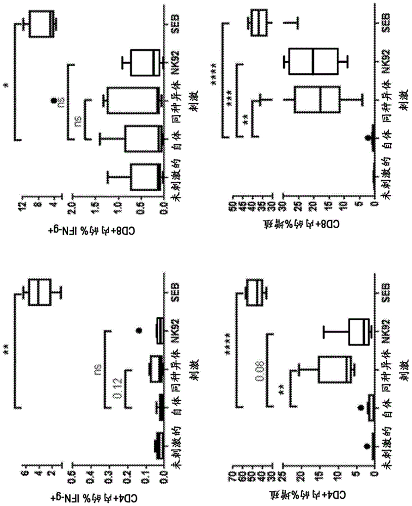 具有降低的免疫原性的HLA I类缺陷的NK-92细胞的制作方法