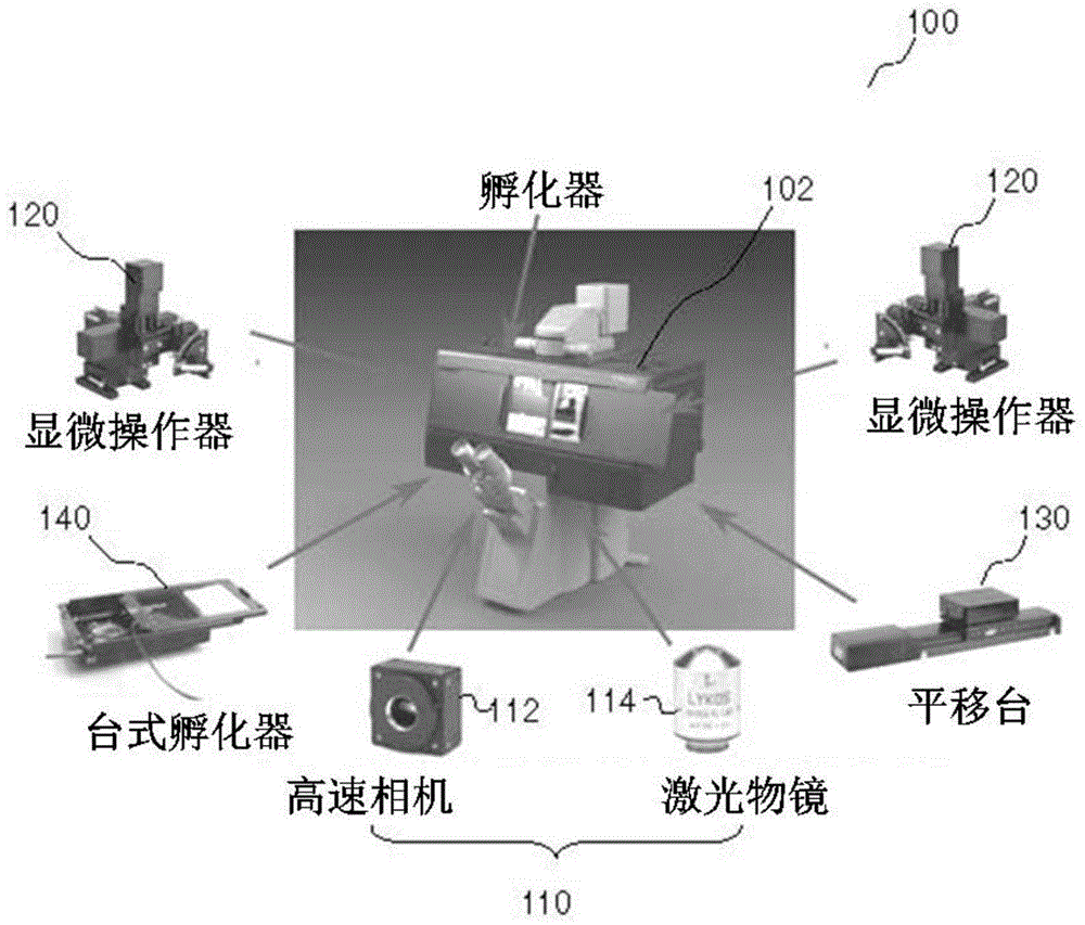 用于胚胎活检的装置的制作方法