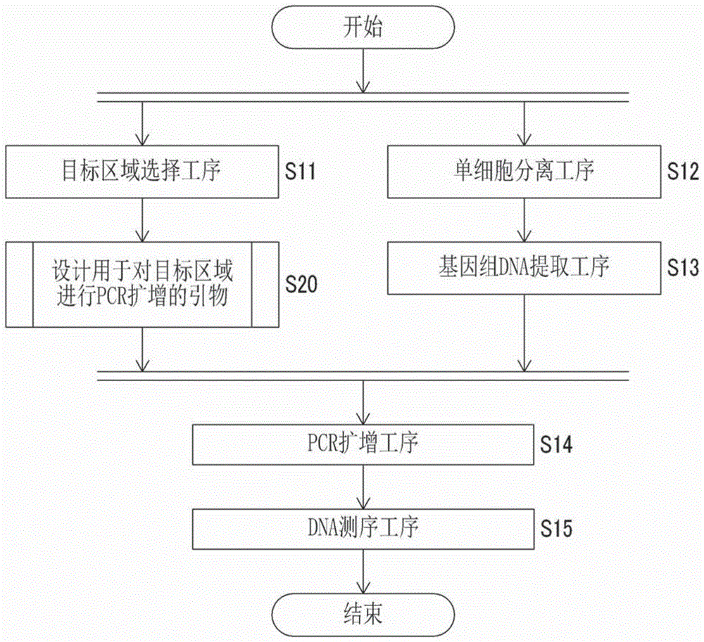 获取来源于脊椎动物的单细胞的碱基序列信息的方法与流程