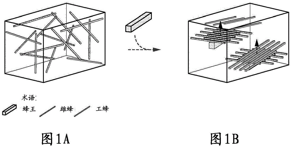 交叉协同自组装体的制作方法