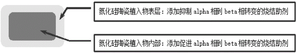 一种性能可控的氮化硅陶瓷植入物及其制备方法与流程